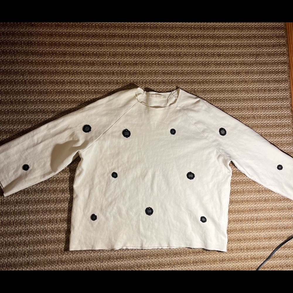 Zara sweater
